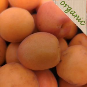 Zeds Organic Apricots (France) – portion of 4