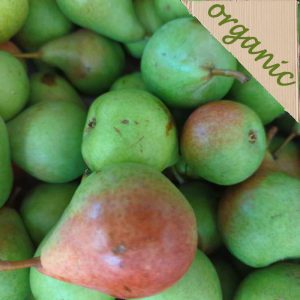 Organic Elliot Pears (Spain) – each