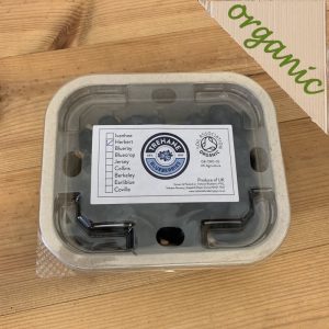 Zeds Organic Blueberries (Portugal) – 125g punnet (No plastic)