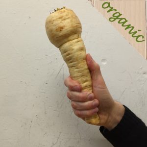 Zeds Organic Parsnips (NL/UK) – each