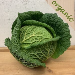 Zeds Organic Savoy Cabbage – (Portugal) – 1 Piece