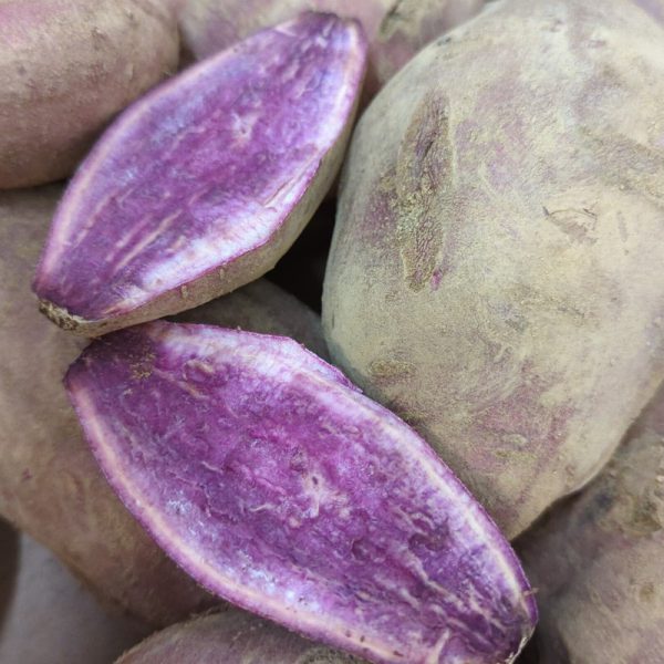 Zeds Organic Purple Sweet Potatoes 500g (Italy)