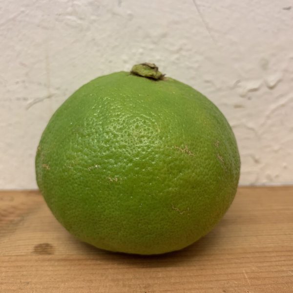 Zeds Organic Bergamot - each (Italy)