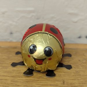 Baur Chocolate Ladybirds